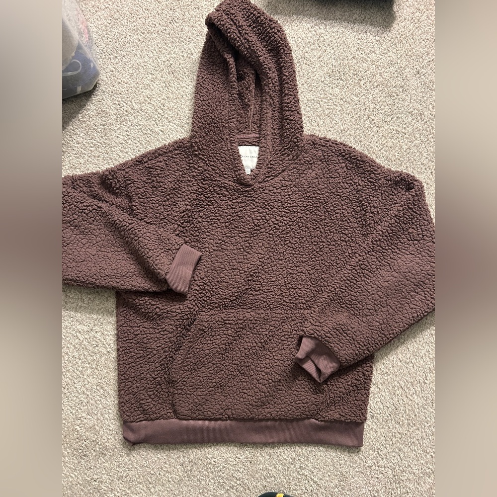 American Eagle Teddy Hoodie